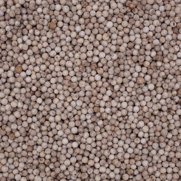 White Pepper (Madagascar)